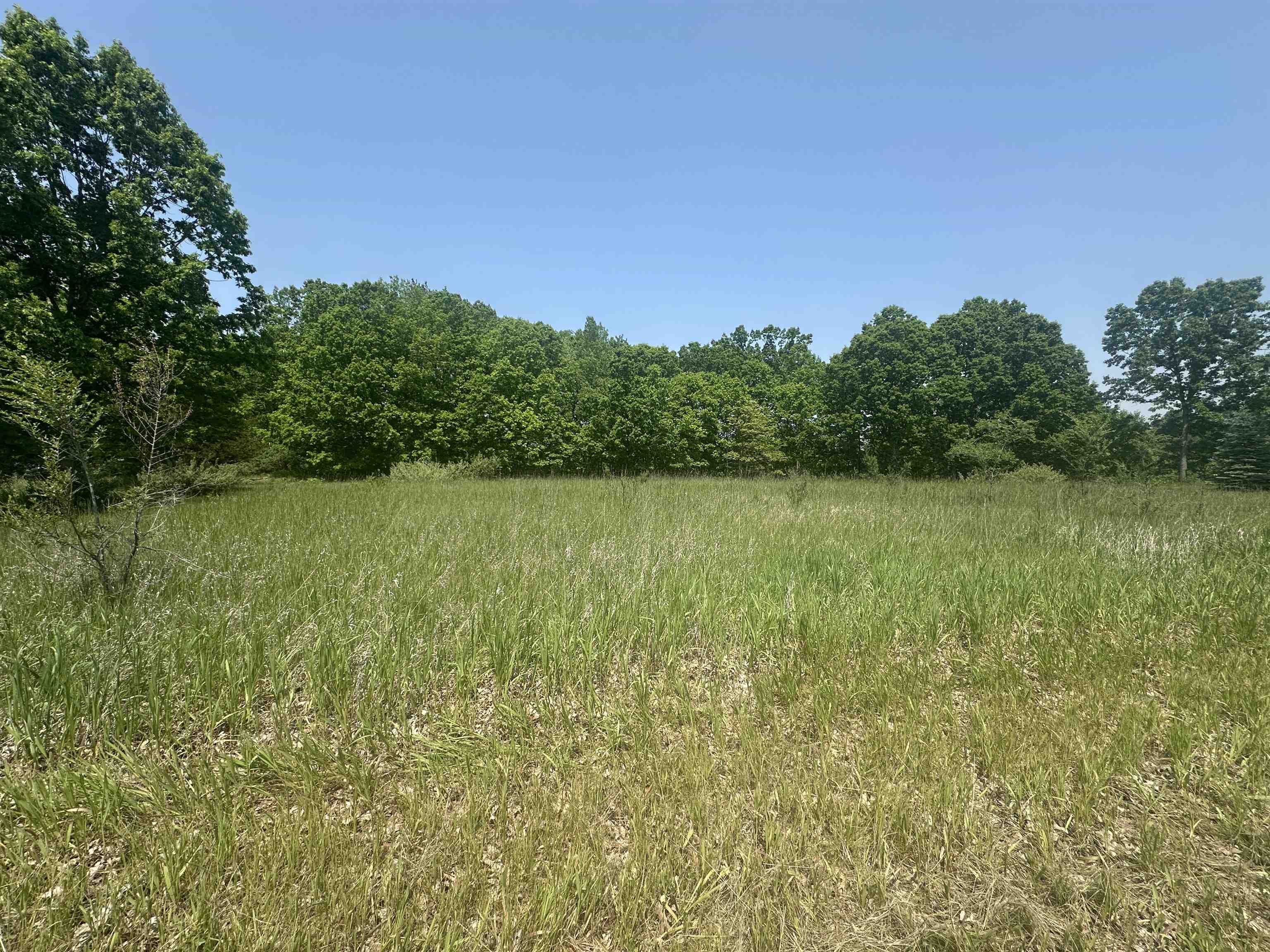 1033 Bonanza Lane