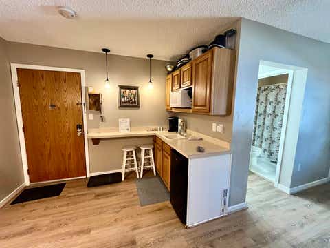 Tiny photo for 6500 Schuss Mountain Lane, Custer Township, MI 49659 (MLS # 78080072613)