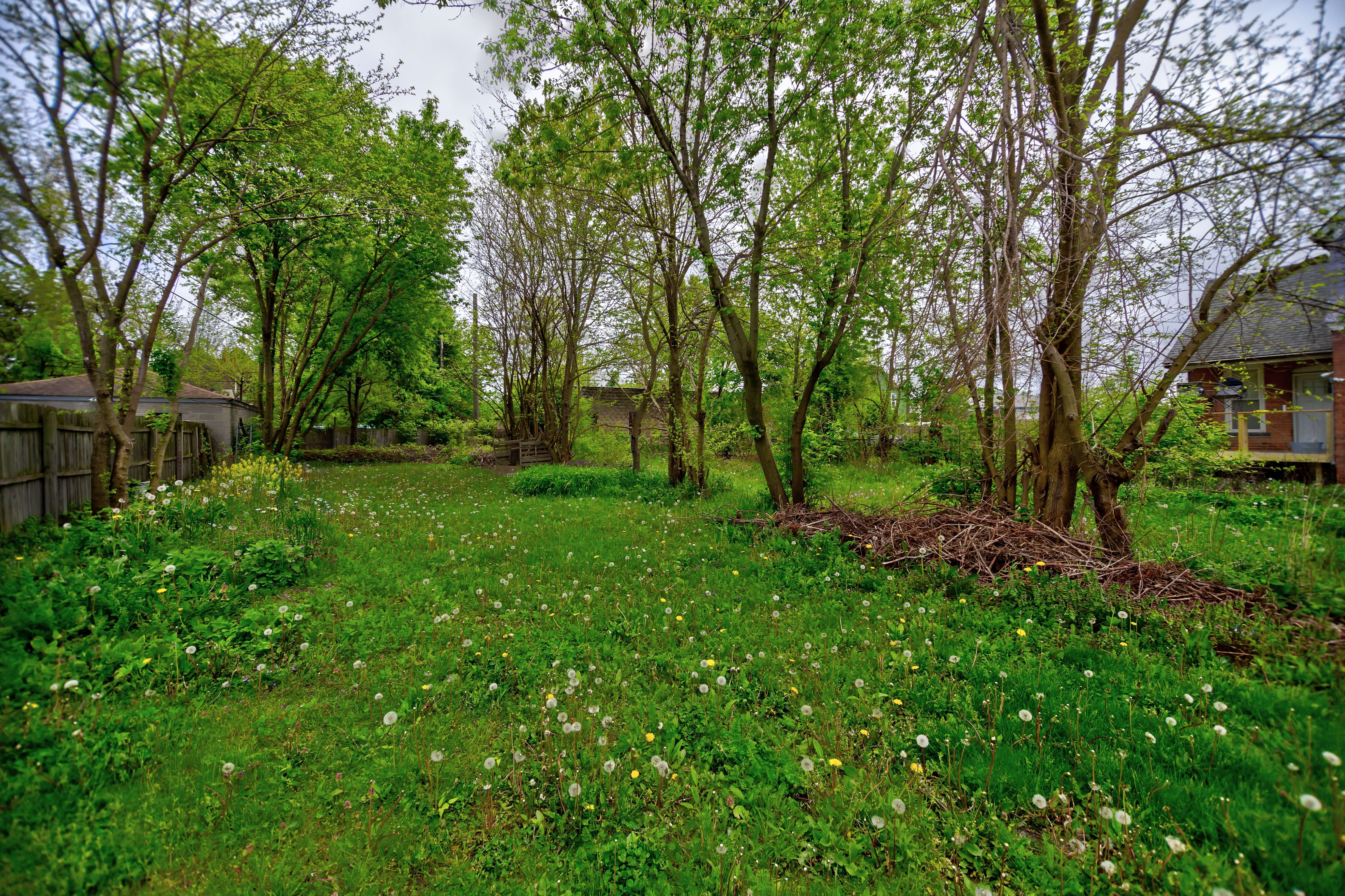 DetroitCity_Wayne, Michigan 48208, United States, ,Land,Active,108373