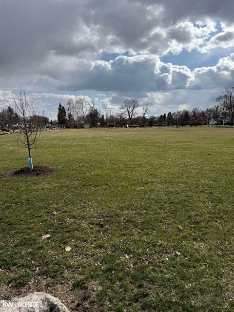 Tiny photo for 18601 Albion Street, Detroit City, MI 48234 (MLS # 58050201472)