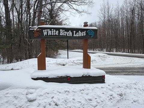 Lot 40 Squirrel Run Lincoln Township MI 48622