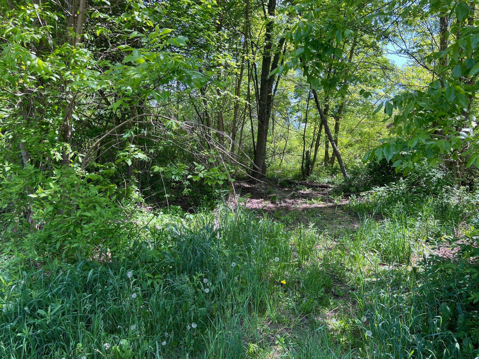 Lot 40 Heron Drive