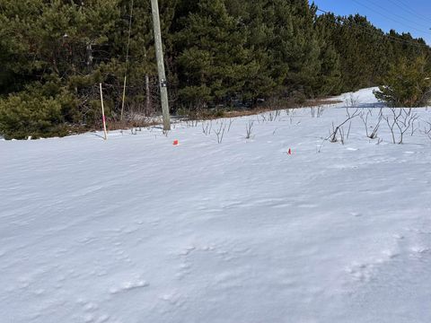 Honor Highway Inland Township MI 49643