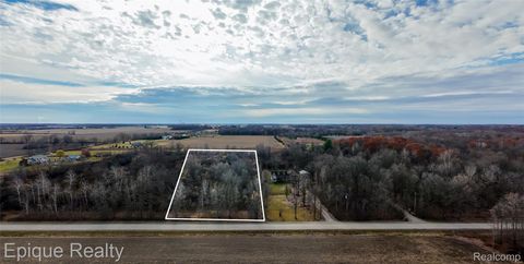 0000 Brown Road Greenwood Township MI 48006