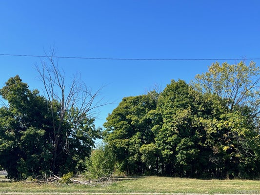 2943 E VERNOR HWY, DETROIT, MI 48207 - Image e3f1c980afda5527bf180517f4e1dfa7/1566248430