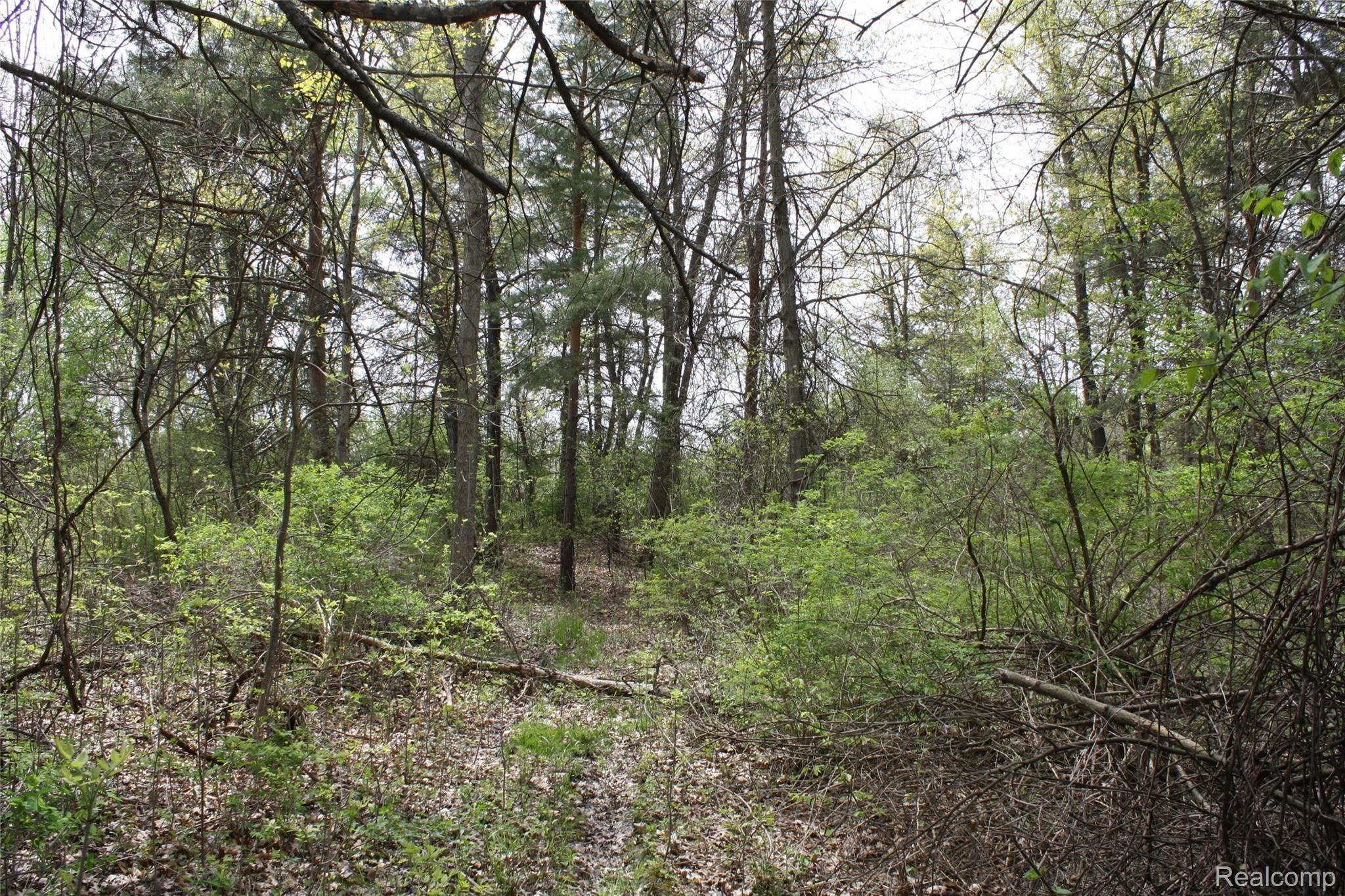 00 VL Waterside Lane