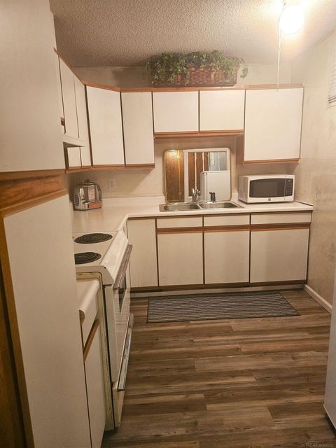 Tiny photo for 3825 Lapham Drive, Hayes Township, MI 48625 (MLS # 58050201459)