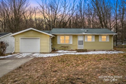 226 W Nelson Street Hastings City MI 49058