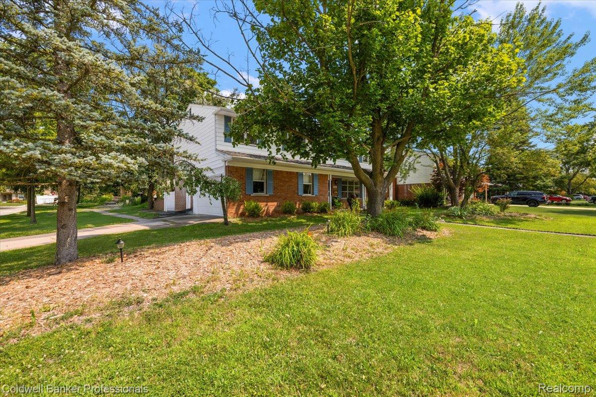 16262 Wayne Road