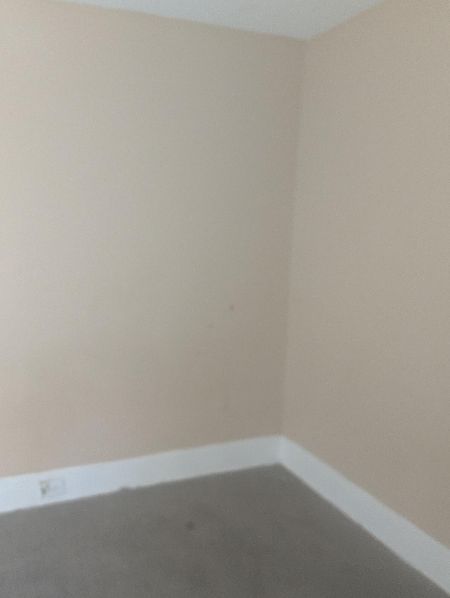 1207 W McNichols Rd Road