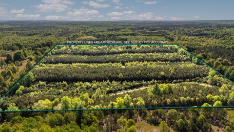 Lot D 8.31 ACRE Lake Union Township MI 49633