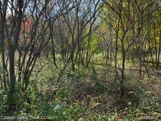 VL CEDAR ROAD, FOWLERVILLE, MI 48836 - Image e53b5711671012afe78ac7165bc7754f/1663167698