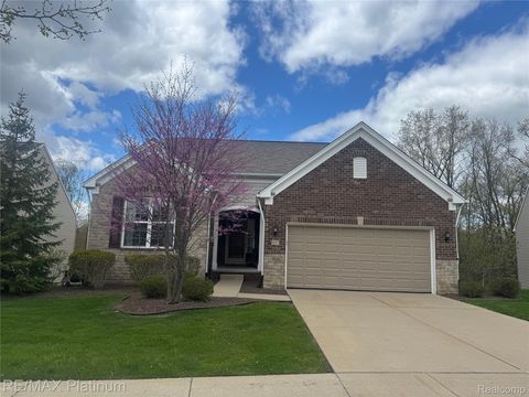 577 Acadia Court Oceola Township MI 48843