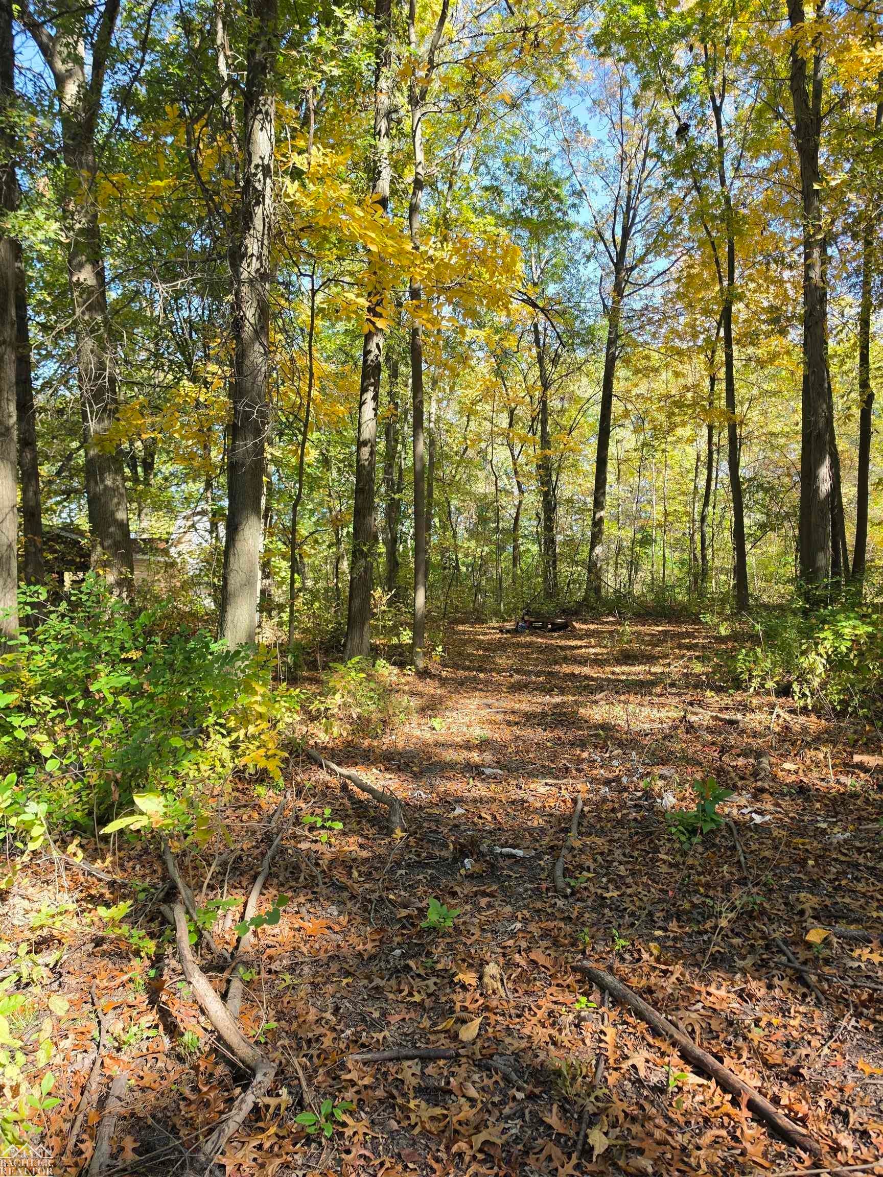 0 Woodland Lane