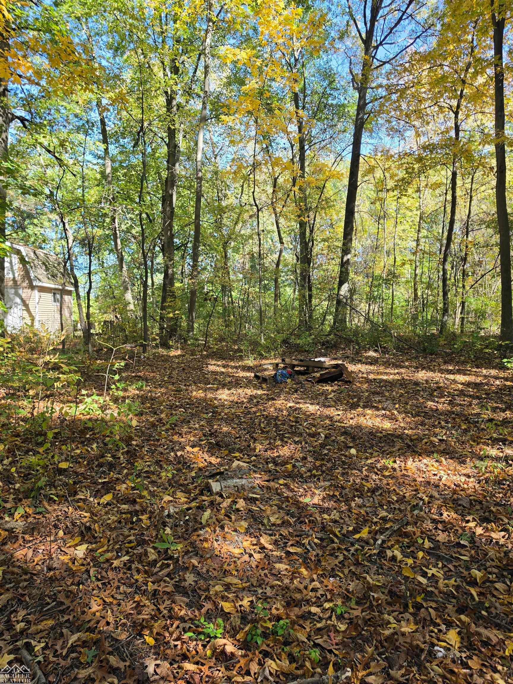 0 Woodland Lane