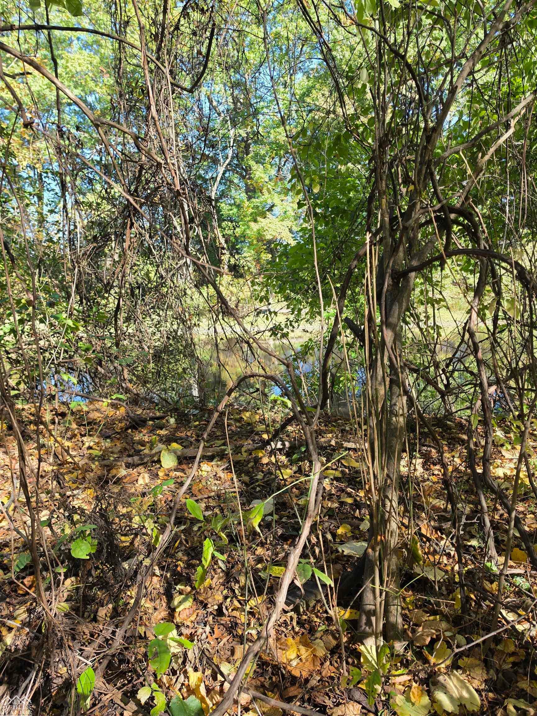 0 Woodland Lane