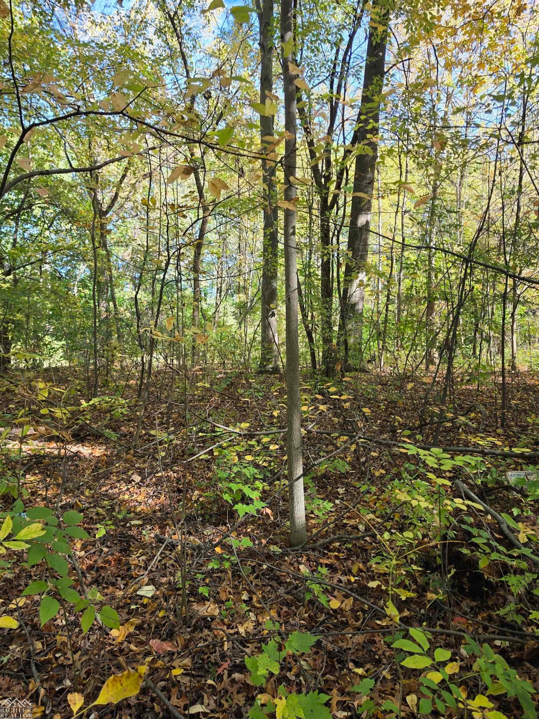 0 Woodland Lane