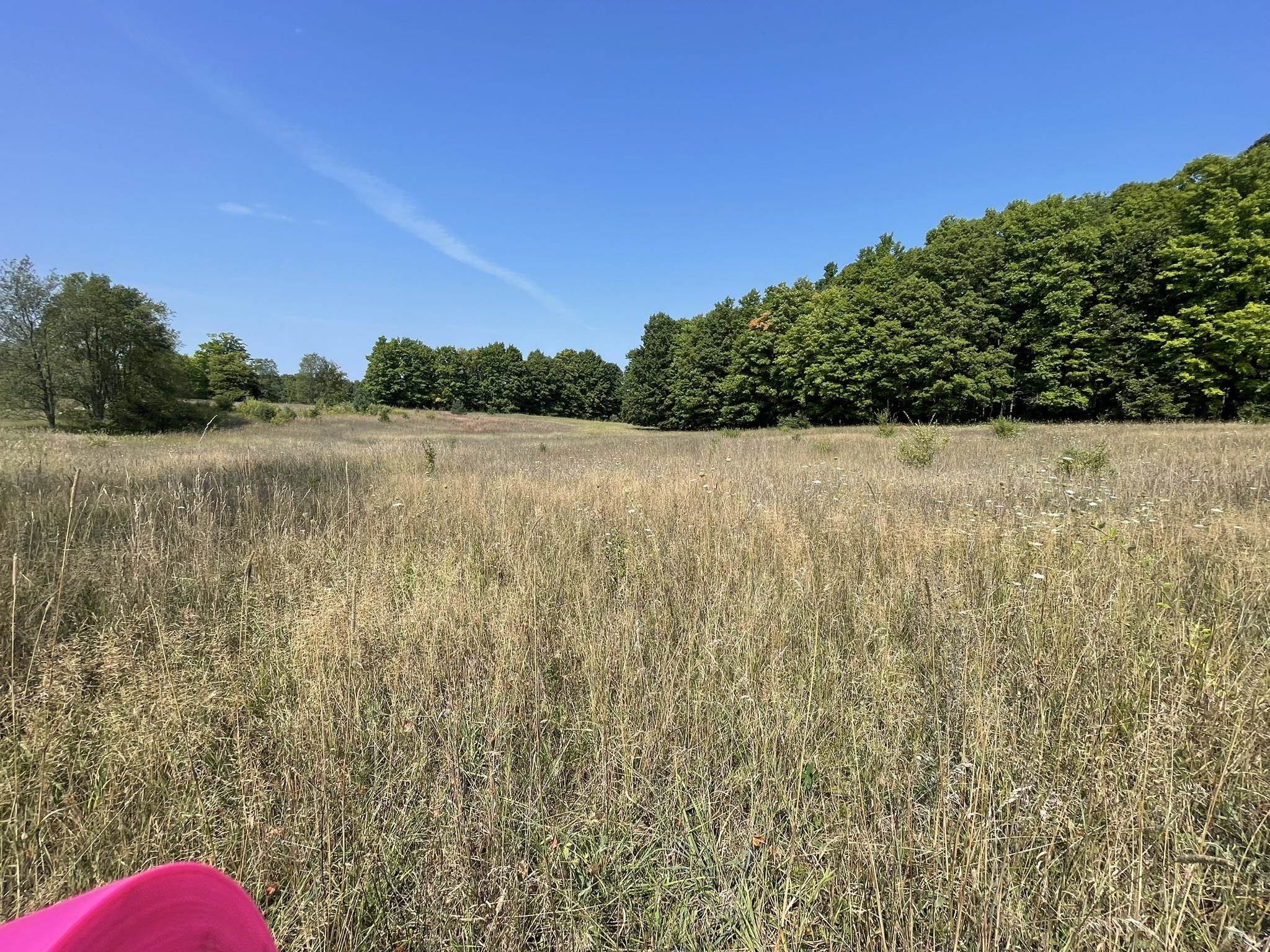 17+/-ACRES Marsh Road