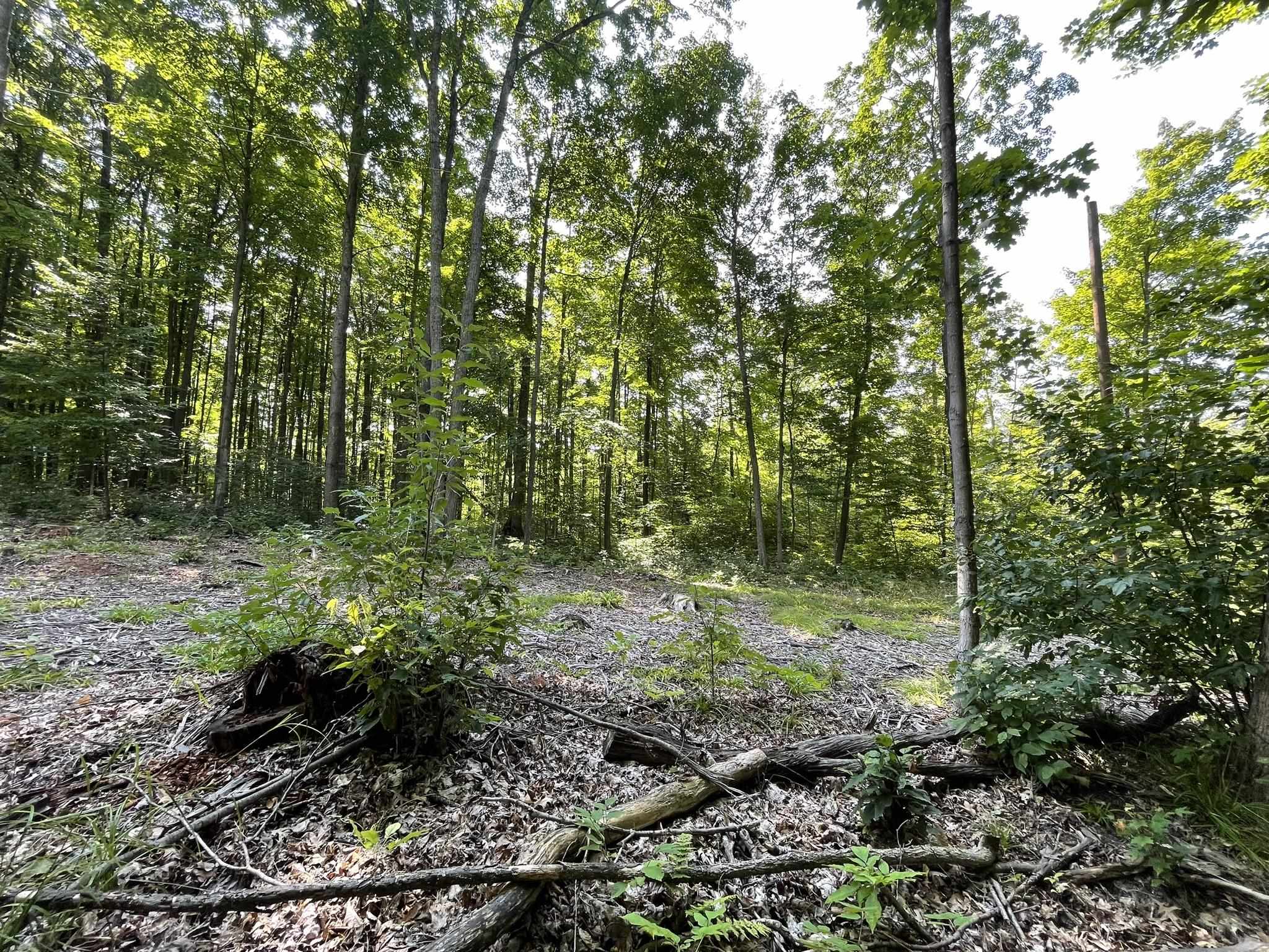 17+/-ACRES Marsh Road