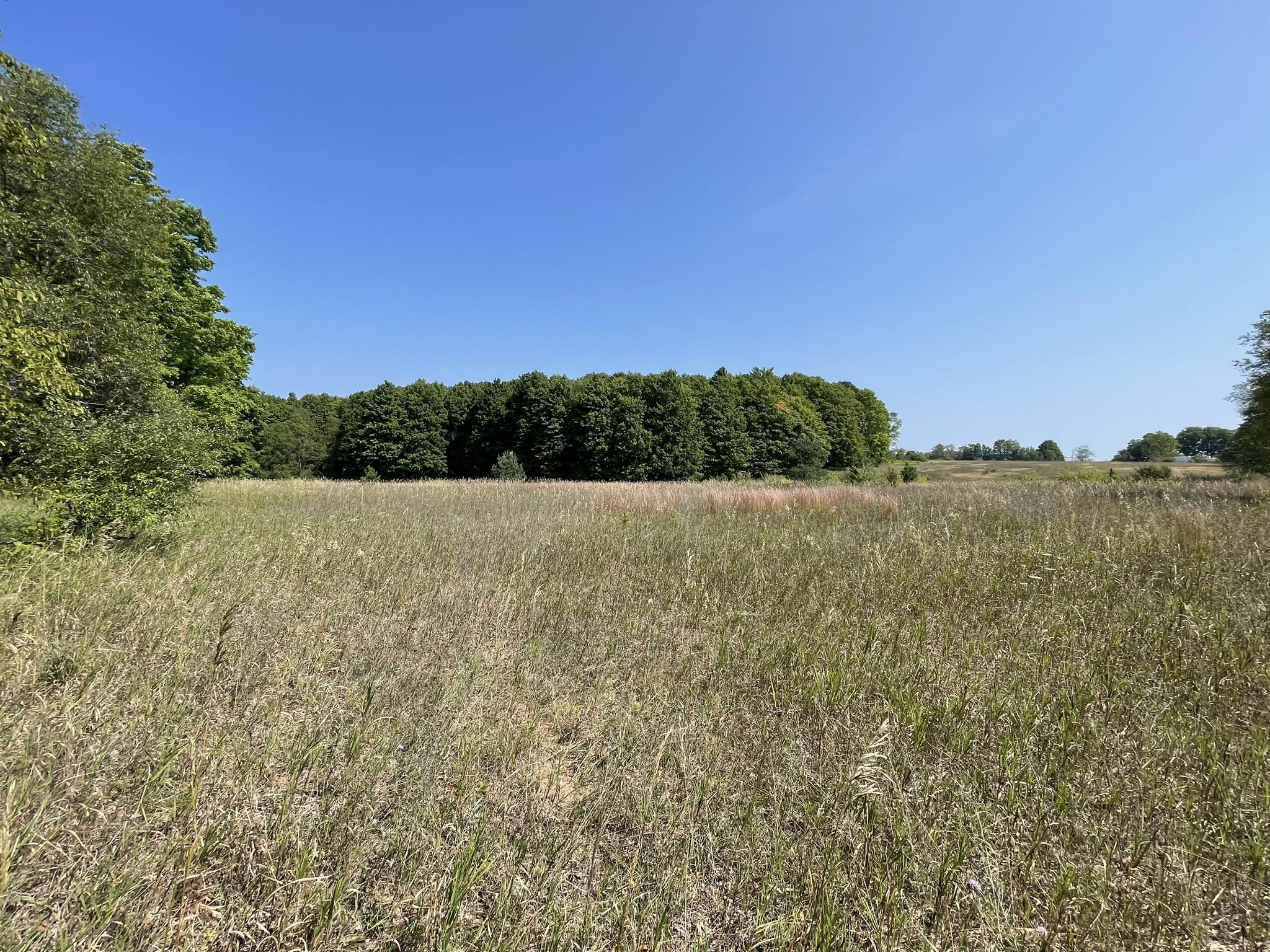 17+/-ACRES Marsh Road