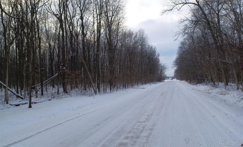 0 Lindsey Road China Township MI 48054