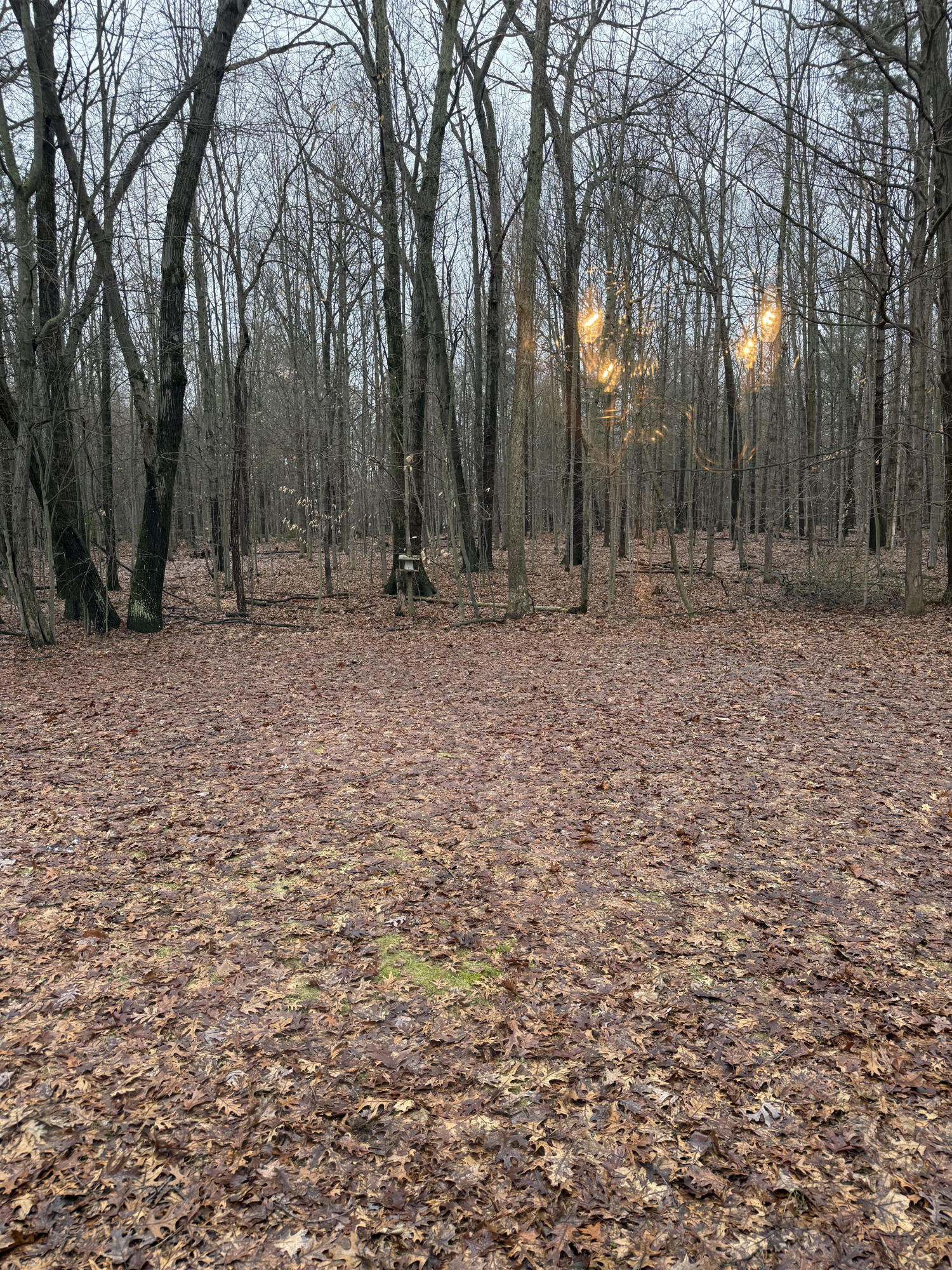 5305 Stanton Boulevard