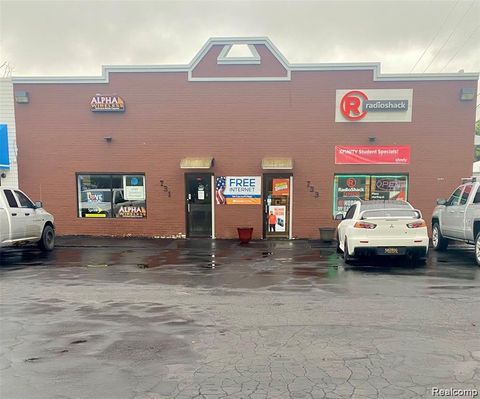 731 W Michigan Avenue Saline City MI 48176