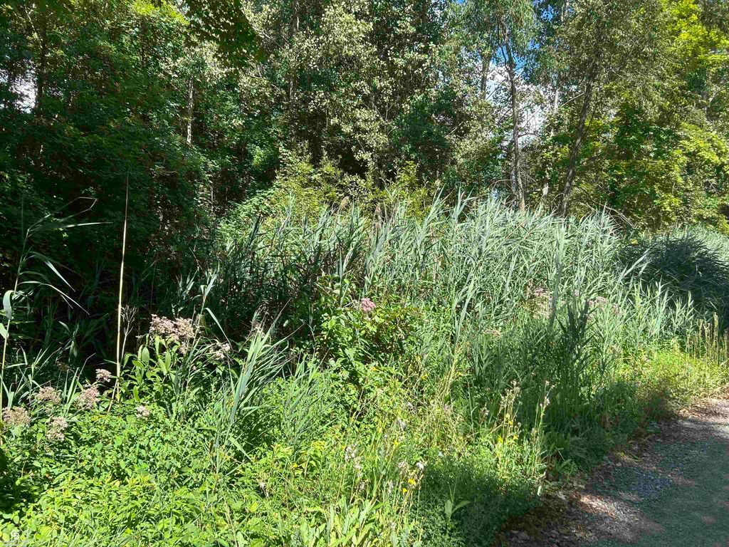 Photo of Lot 537 Woodbine Road, Worth Township, MI 48450 (MLS # 58050186363)