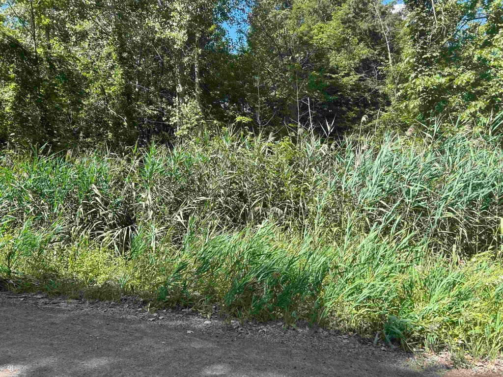 Photo of Lot 537 Woodbine Road, Worth Township, MI 48450 (MLS # 58050186363)