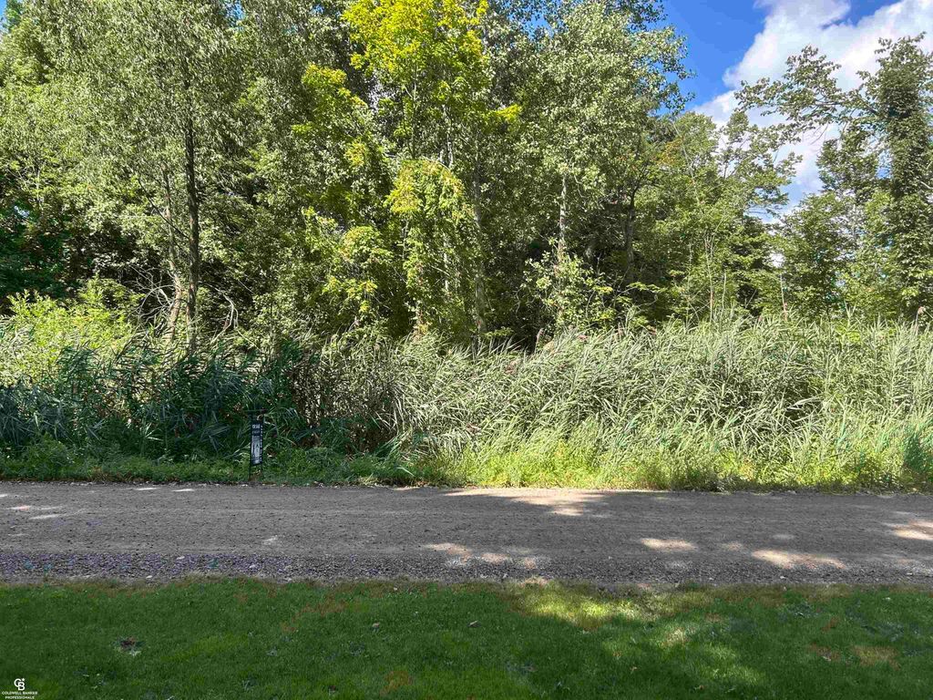 Photo of Lot 537 Woodbine Road, Worth Township, MI 48450 (MLS # 58050186363)