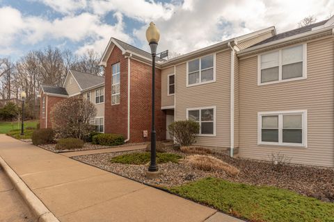 1005 E Duncan Street 2D Manchester Village Washtenaw MI 48158