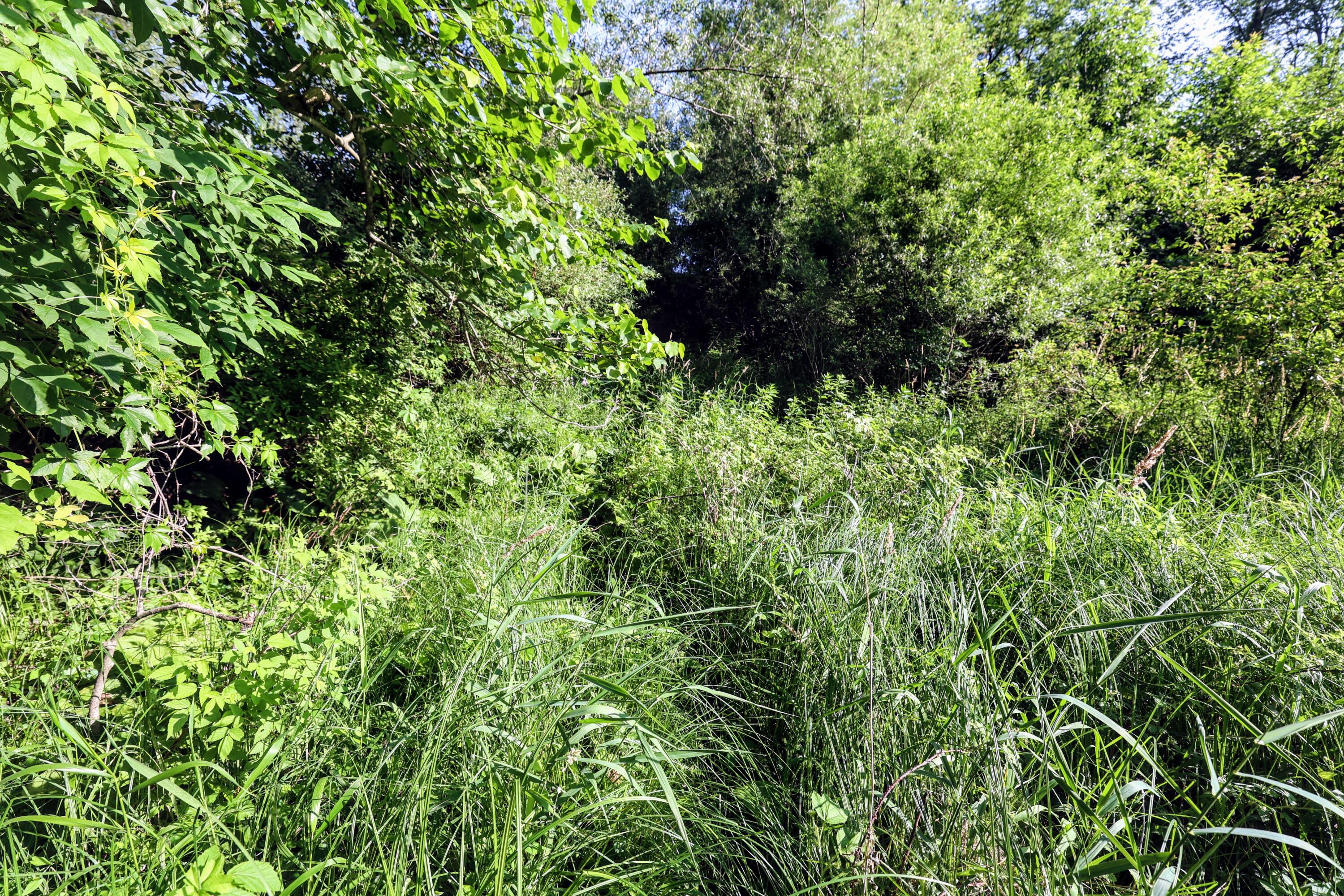 VL 24 Mile Rd Lot#WP001