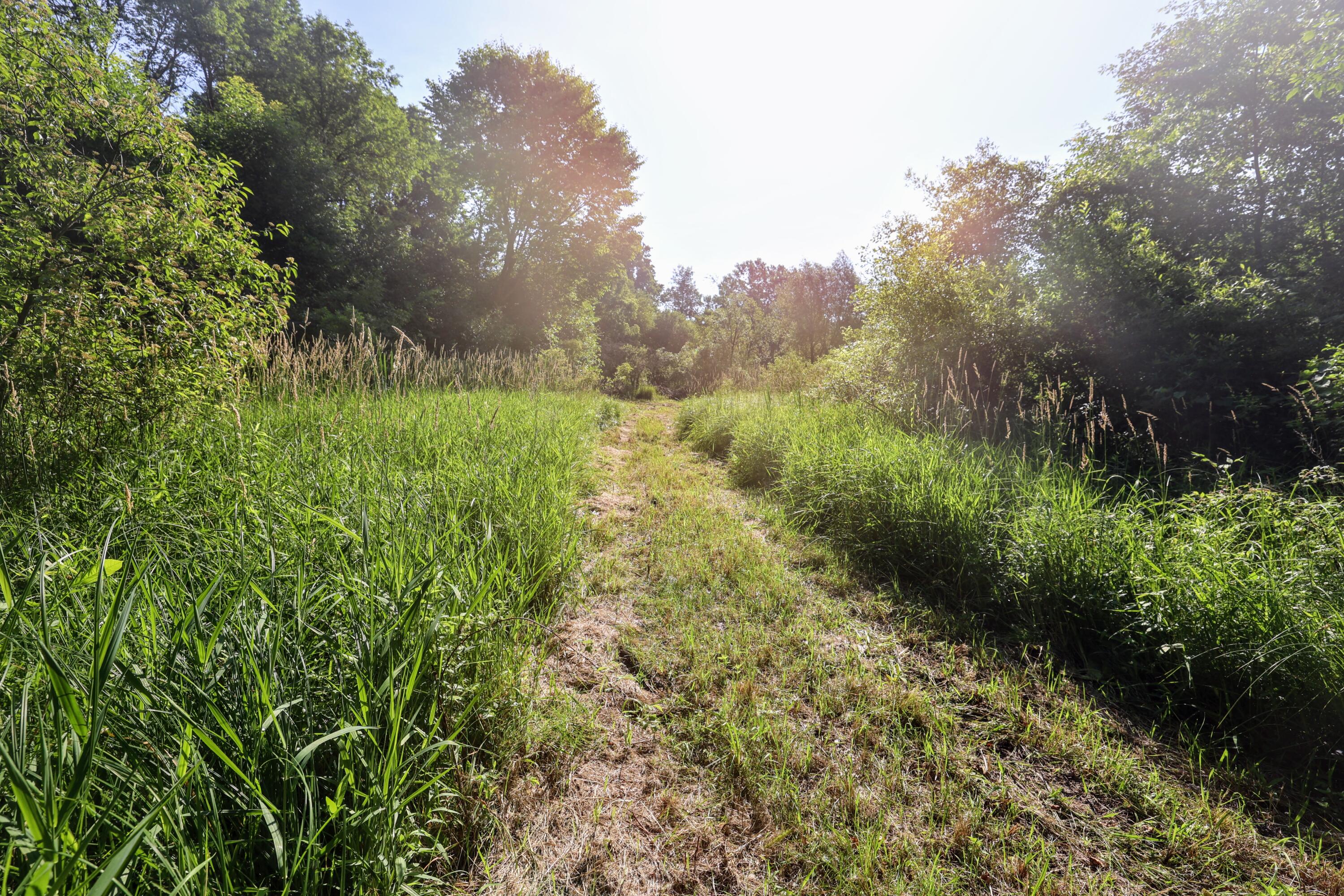 VL 24 Mile Rd Lot#WP001