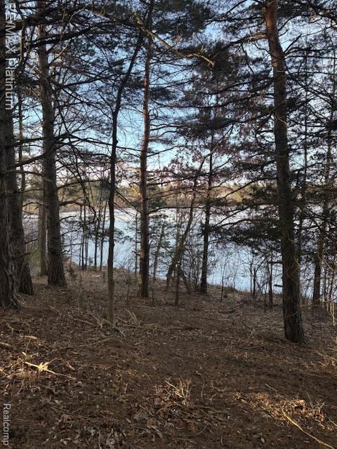 o Pineway Trail Howell Township MI 48855