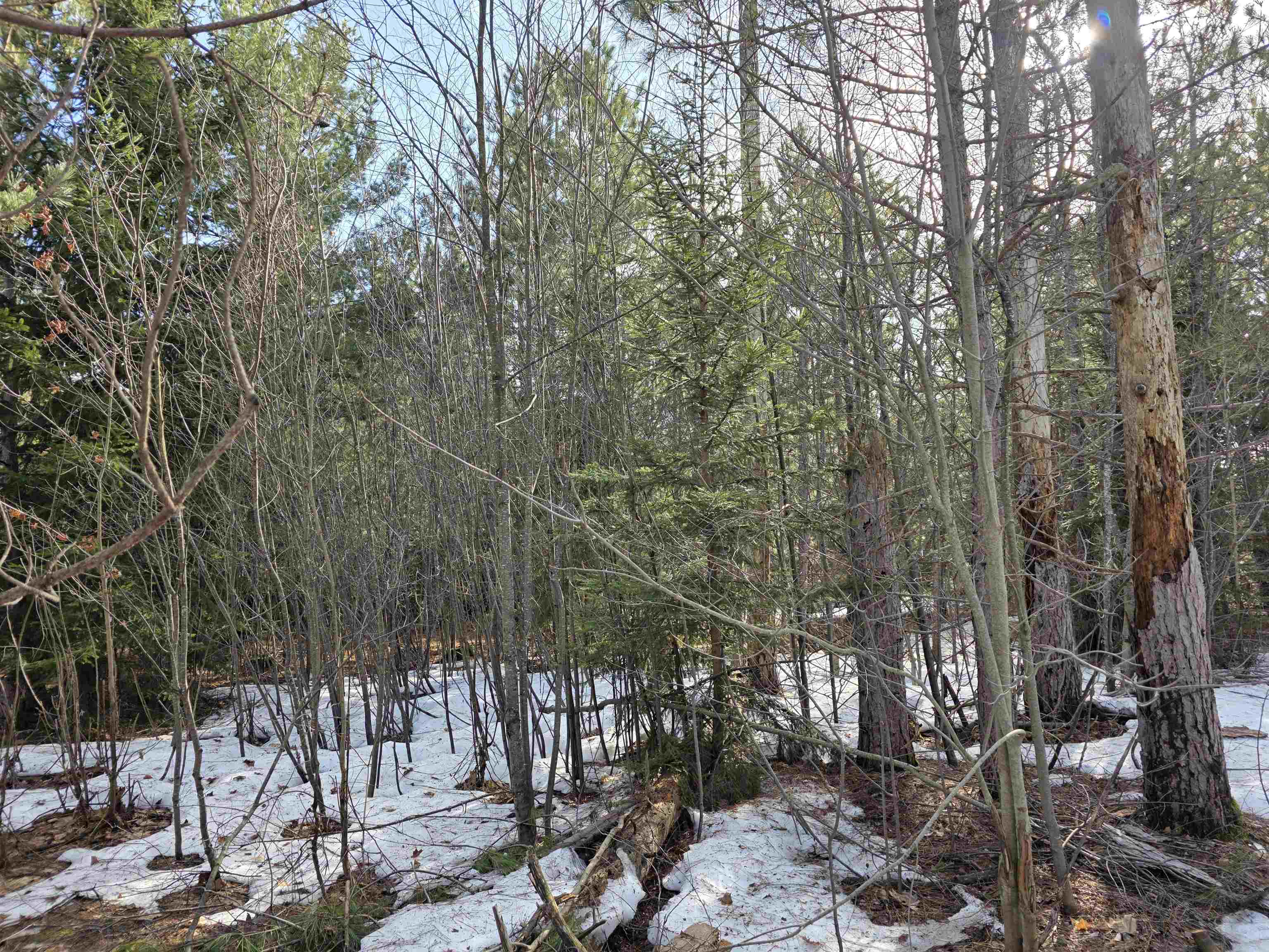 0001 Cedar River Road