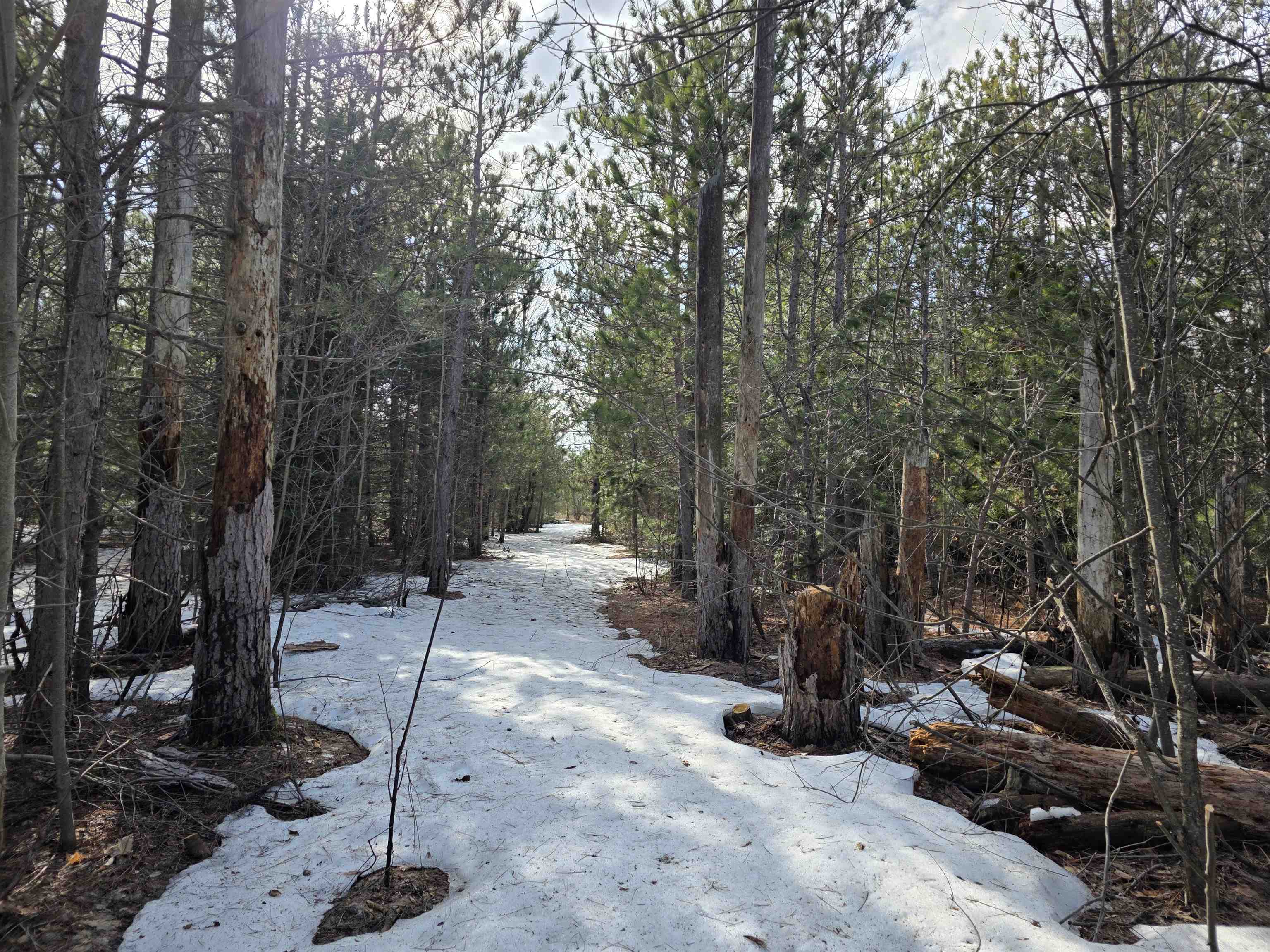0001 Cedar River Road