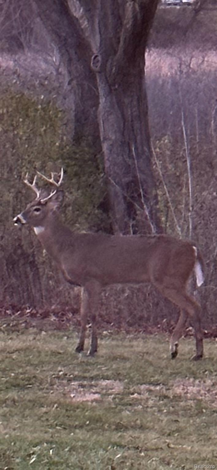 Waterford Charter Township, Michigan 48329, United States, 2 Bedrooms Bedrooms, ,2 BathroomsBathrooms,Residential,Active,230524