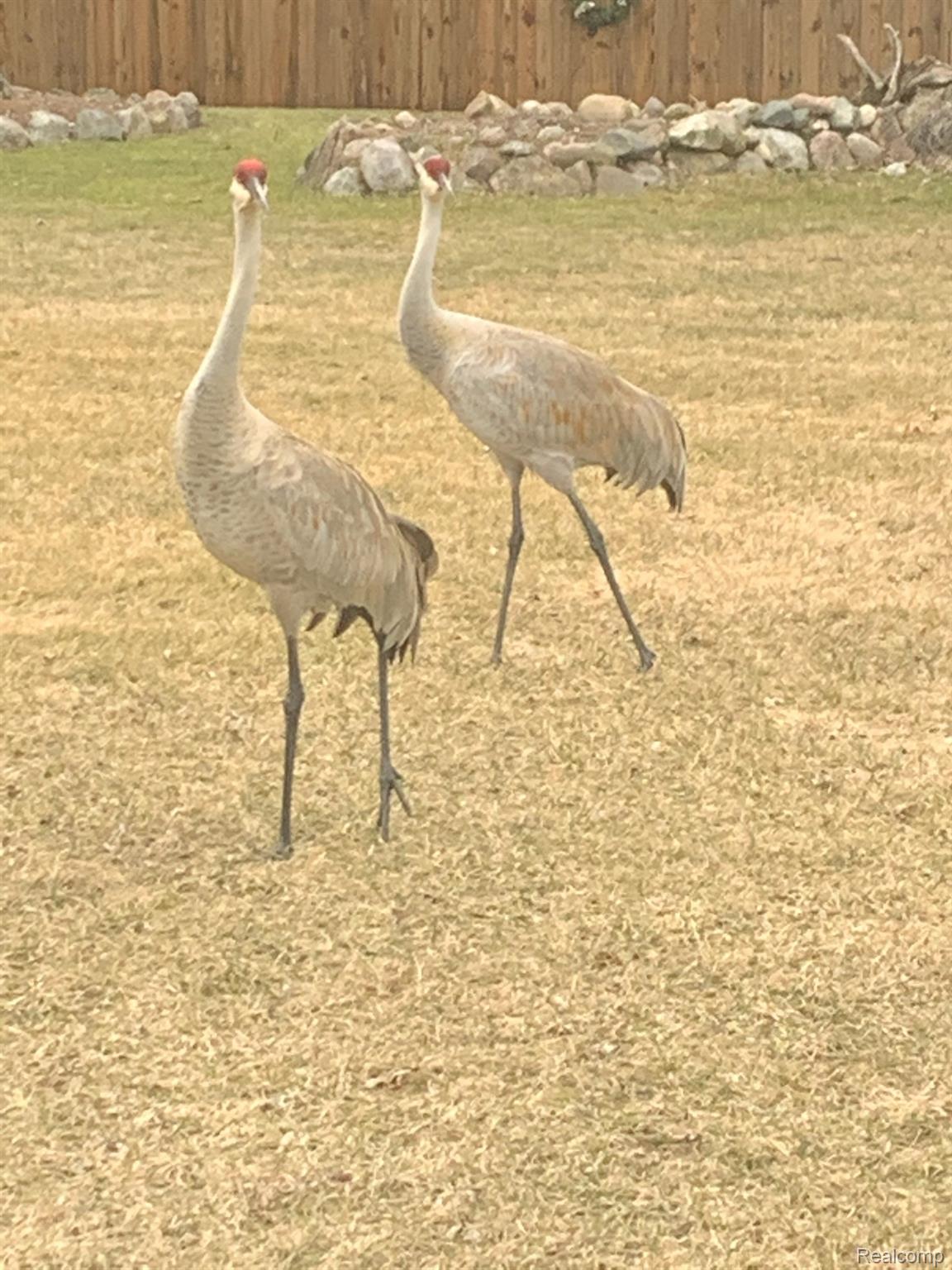 Waterford Charter Township, Michigan 48329, United States, 2 Bedrooms Bedrooms, ,2 BathroomsBathrooms,Residential,Active,230524