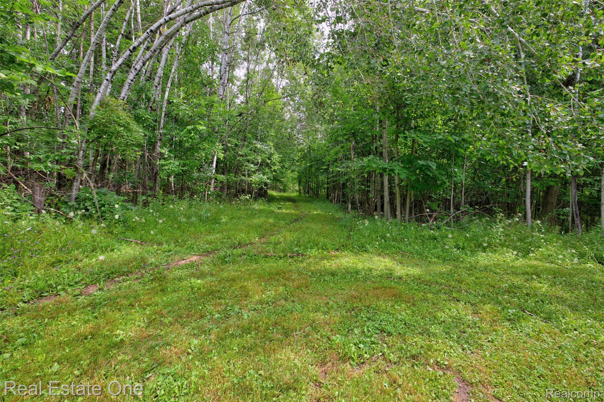 00 Artesian Trail