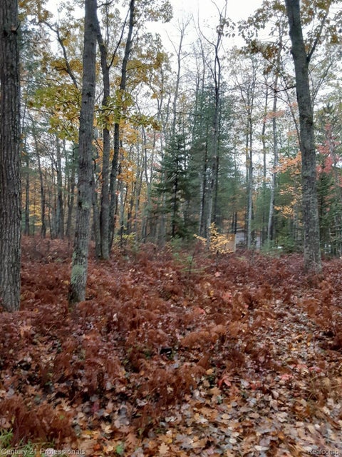 Photo for 6710 Chippewa Trail