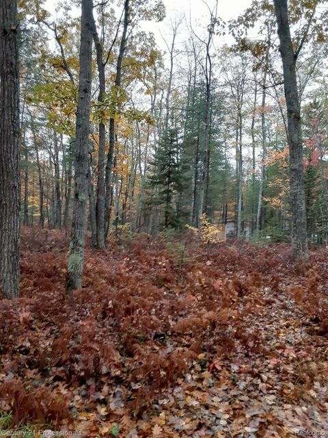 6710 Chippewa Trail Rogers City City MI 49779