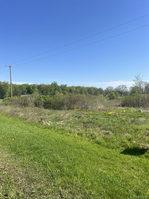 VL TURTLE LAKE Road Rich Township MI 48461