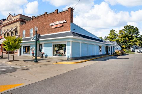 132 N Main Street Brooklyn Village MI 49230