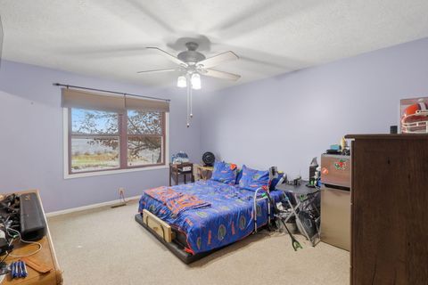 Tiny photo for 265 Indian Trail, Henrietta Township, MI 49259 (MLS # 65026009566)