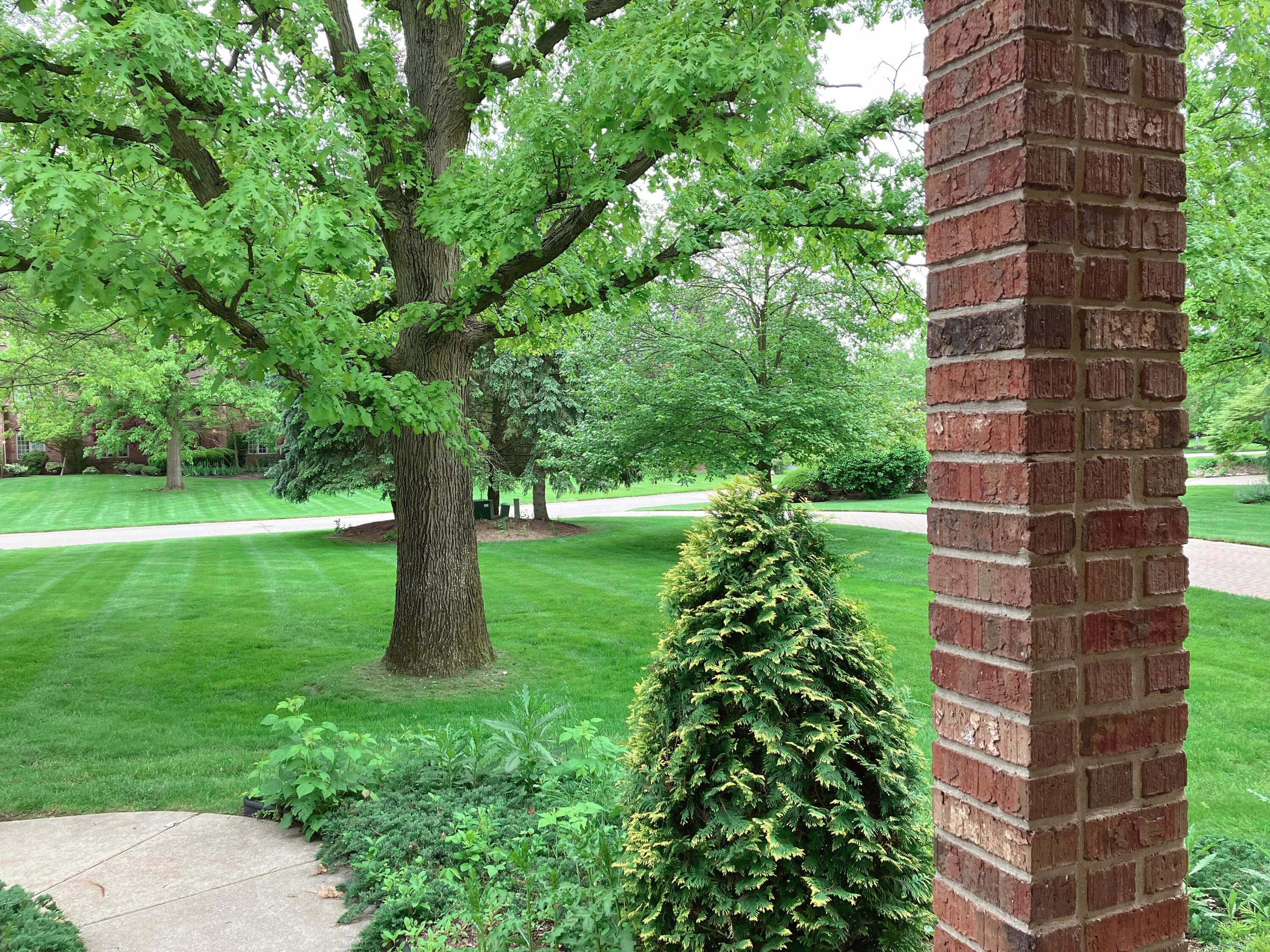 5060 Oak Tree Court