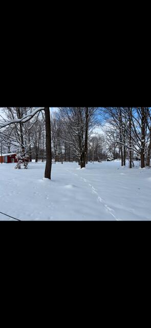 27932 Dewey Lake Street