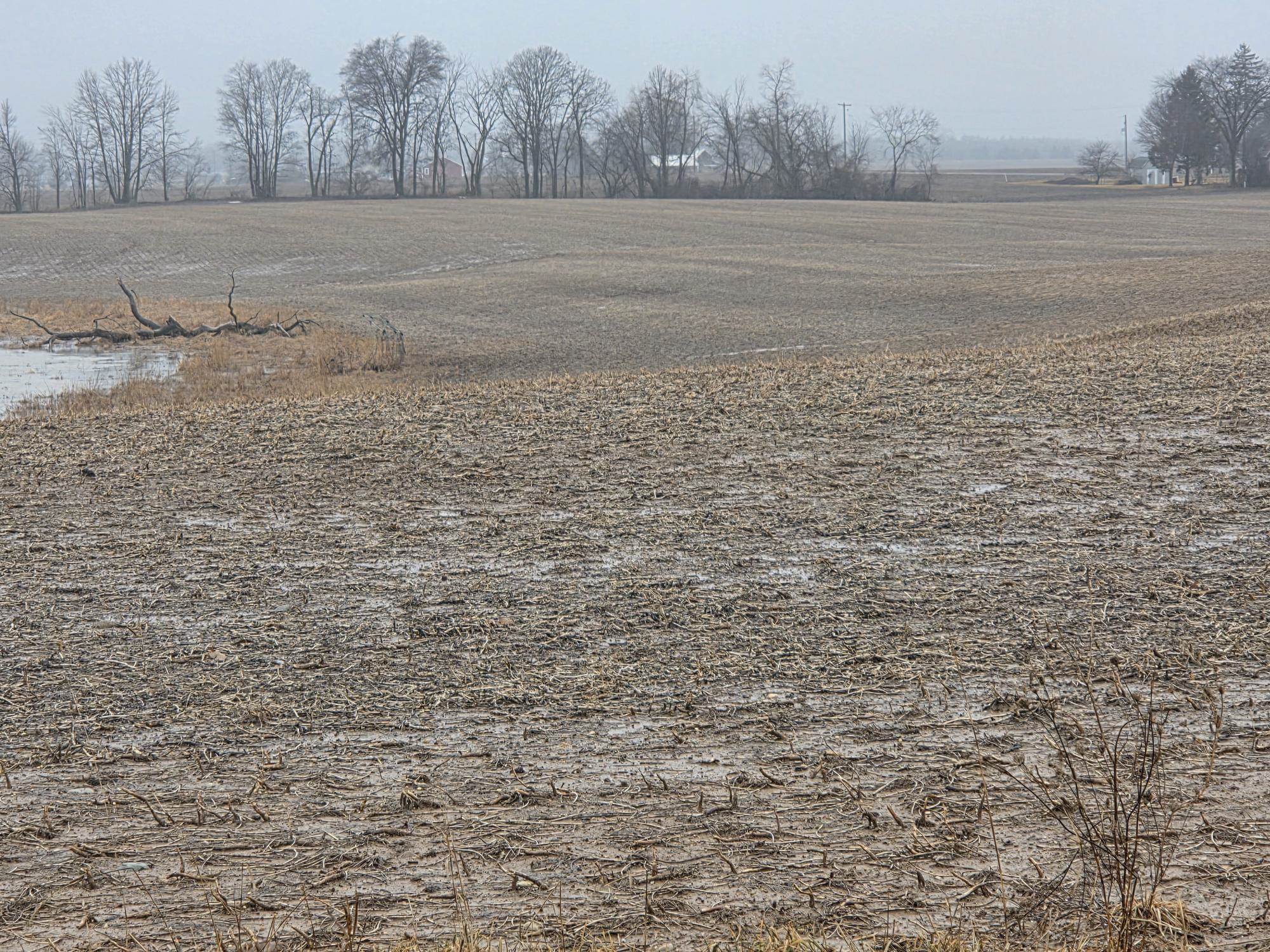 4191 W Baseline Road