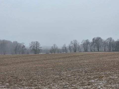 4191 W Baseline Road Deerfield Township MI 48858