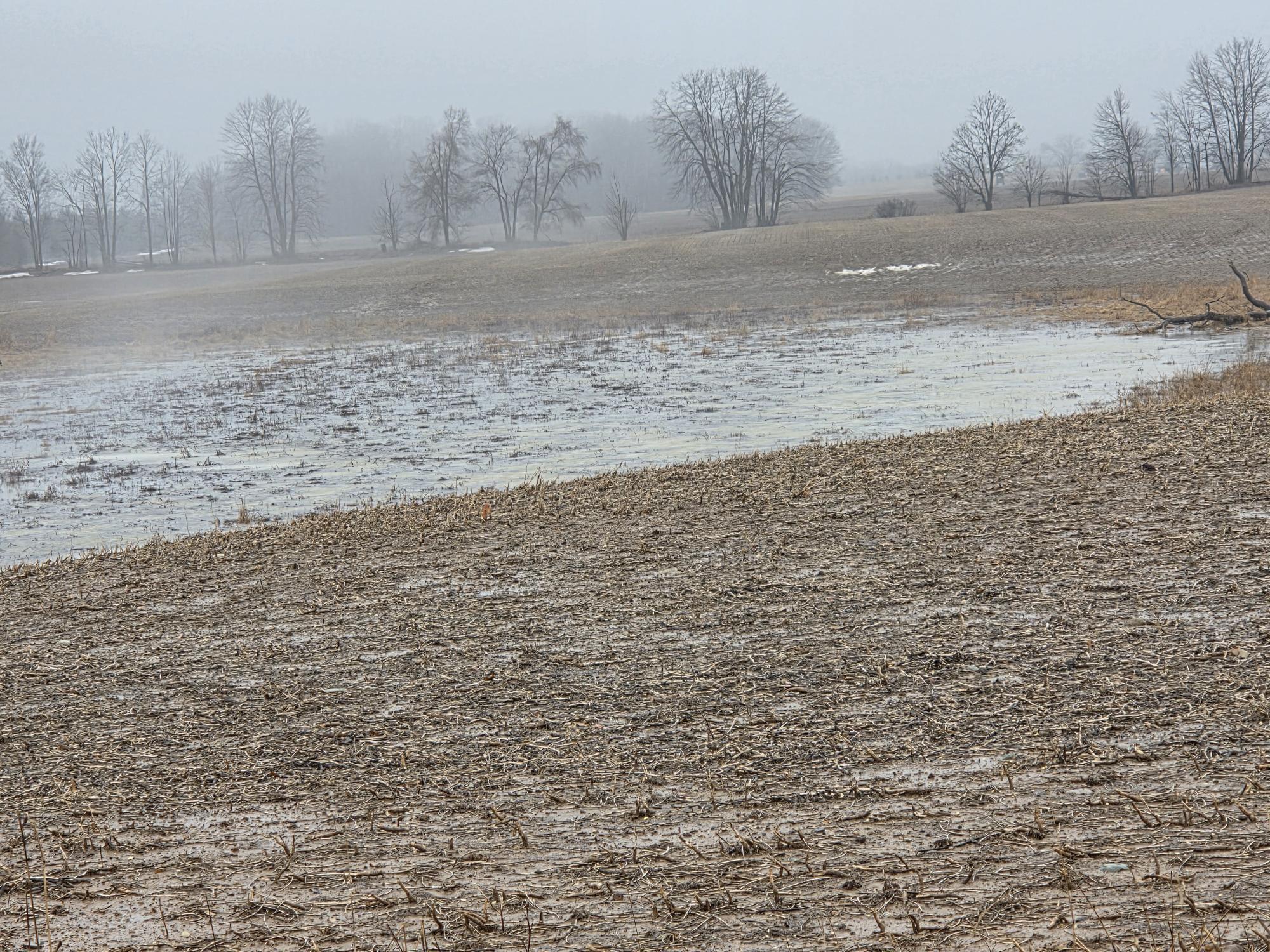 4191 W Baseline Road