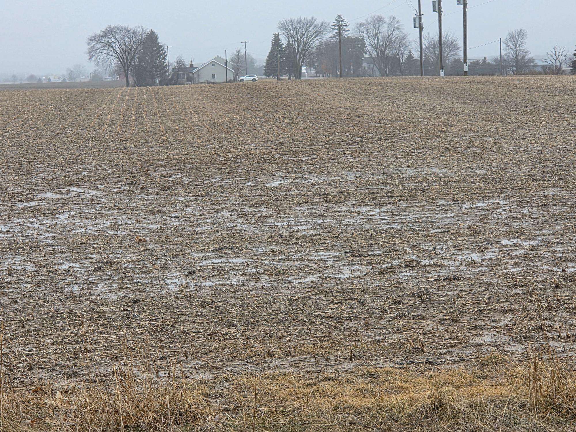 4191 W Baseline Road